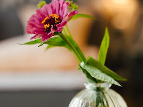 Blumenvase auf dem Zimmertisch