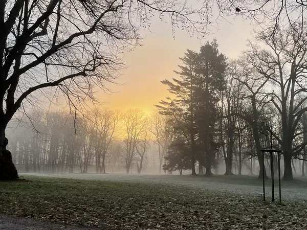 Morgennebel über den Feldern